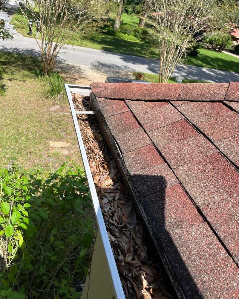 Leaf-clogged gutter before cleaning