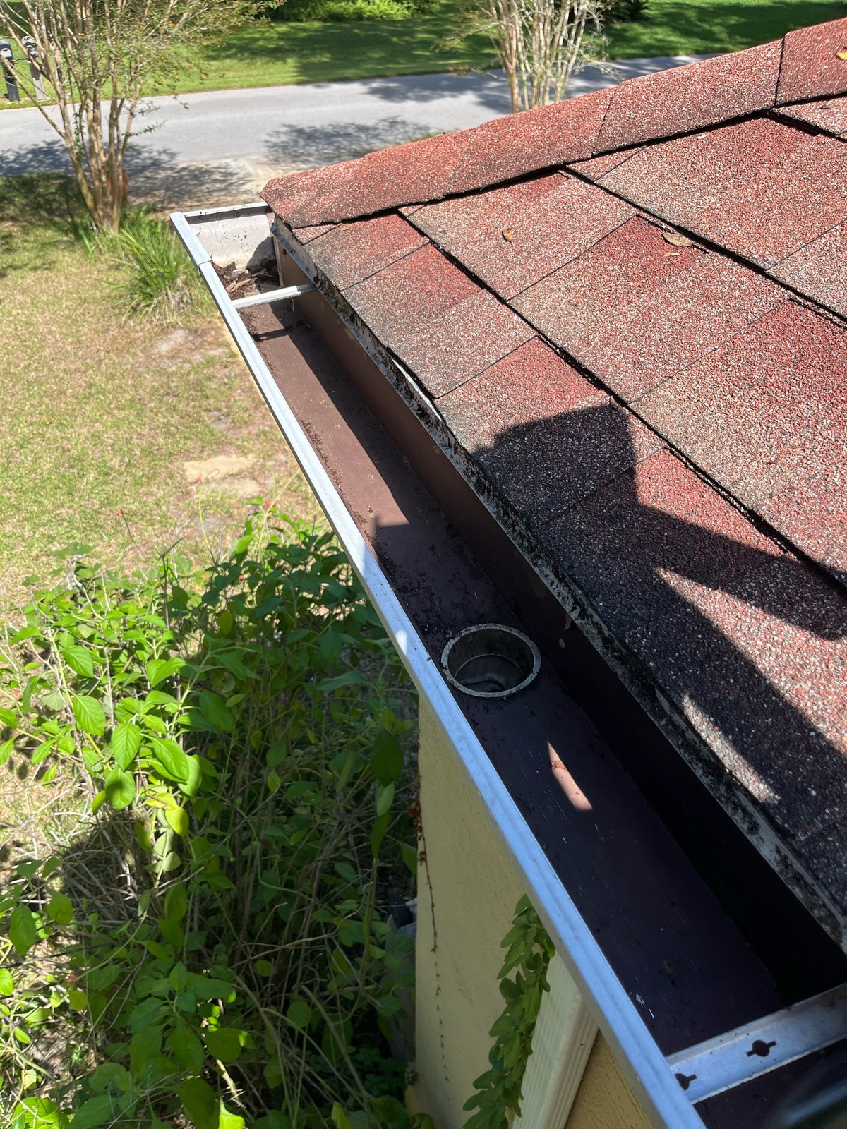 Gutter after — oak leaves cleared, open downspout