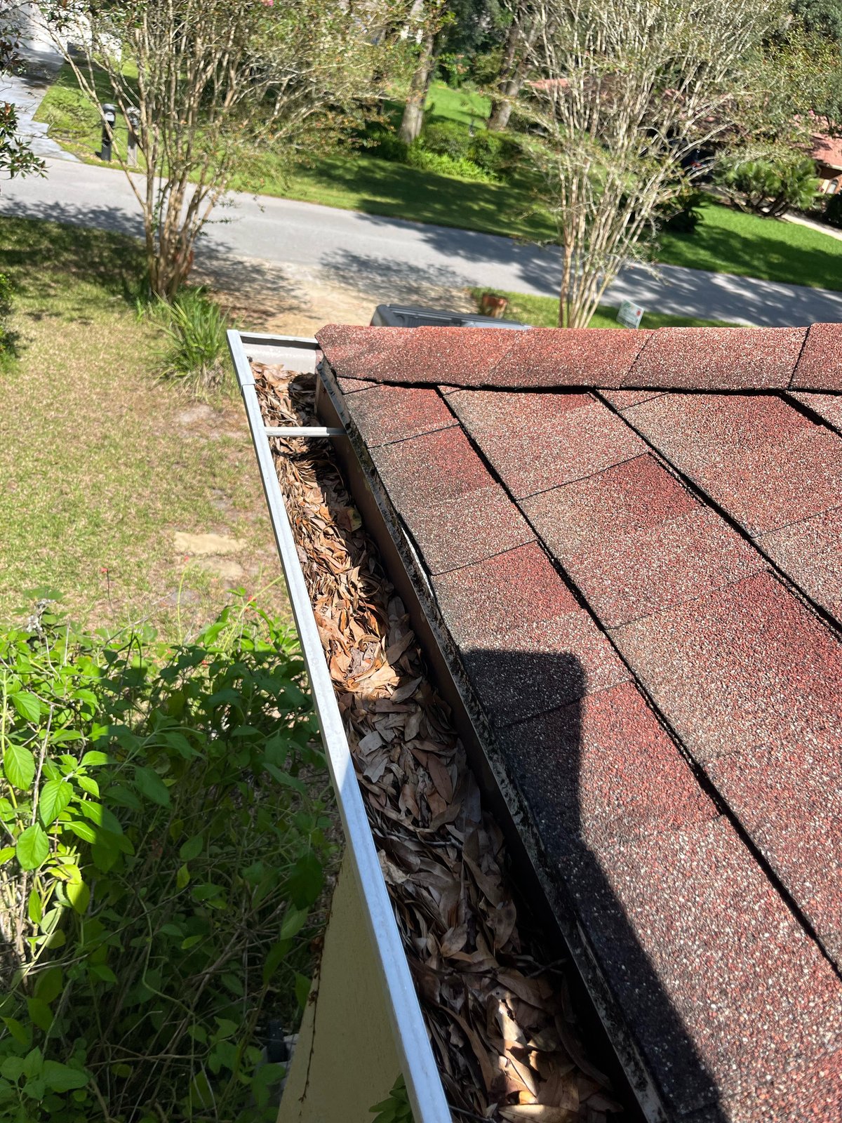 Gutter before — oak leaves packed in gutter above lawn