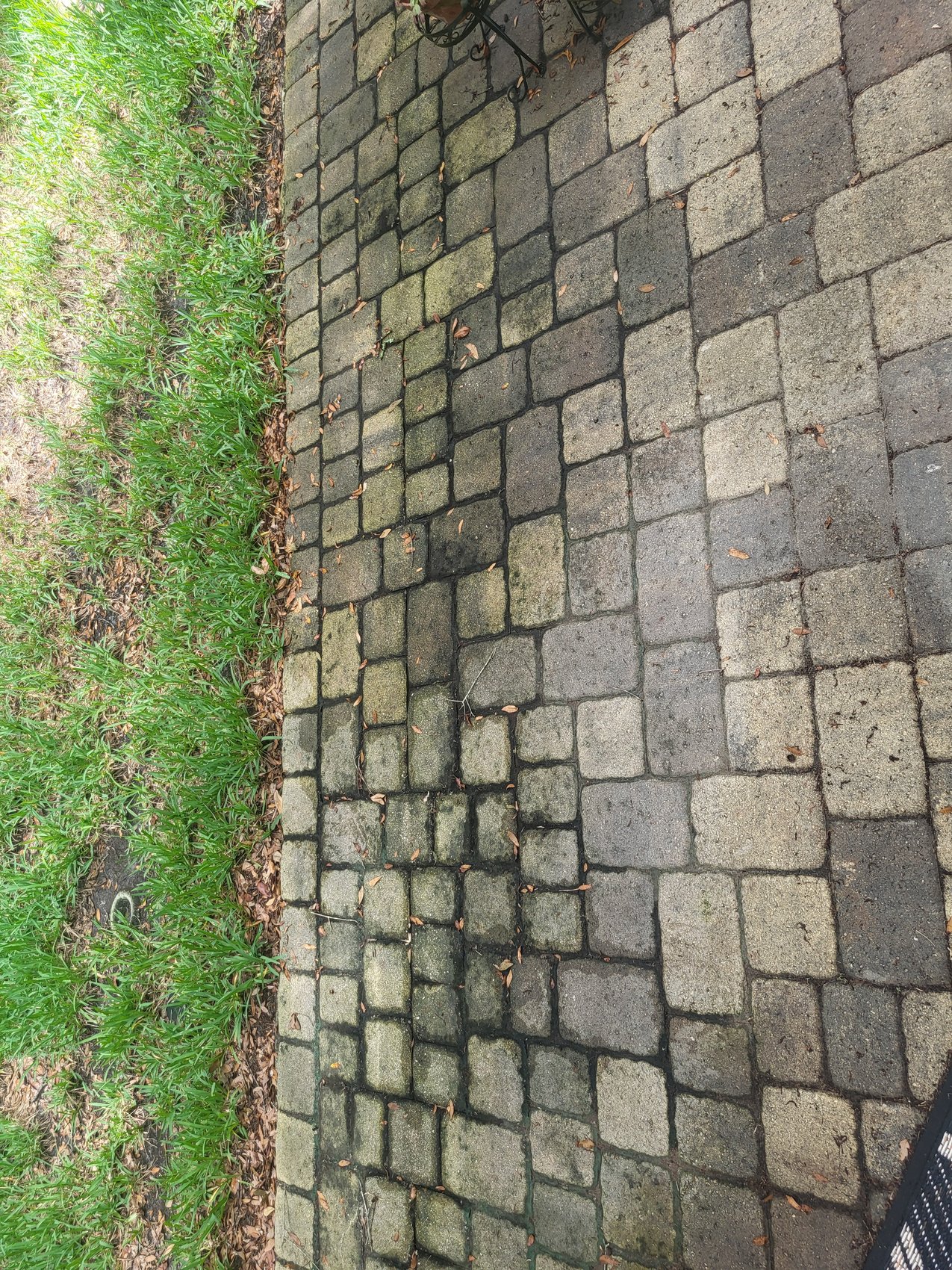 Close-up before — dirty interlocking pavers with dark joints and leaf debris