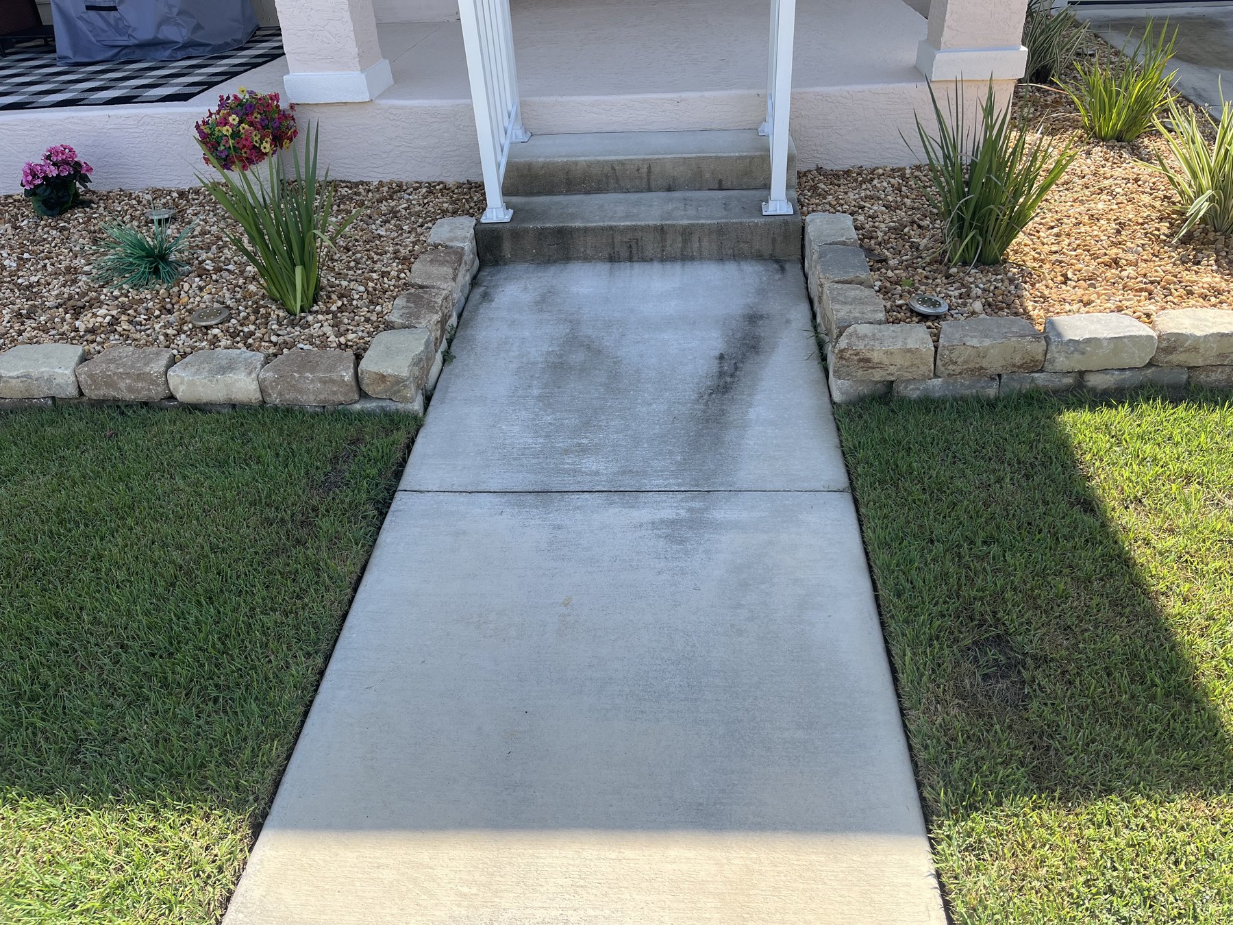 Front walkway before — black algae on concrete beside stone beds