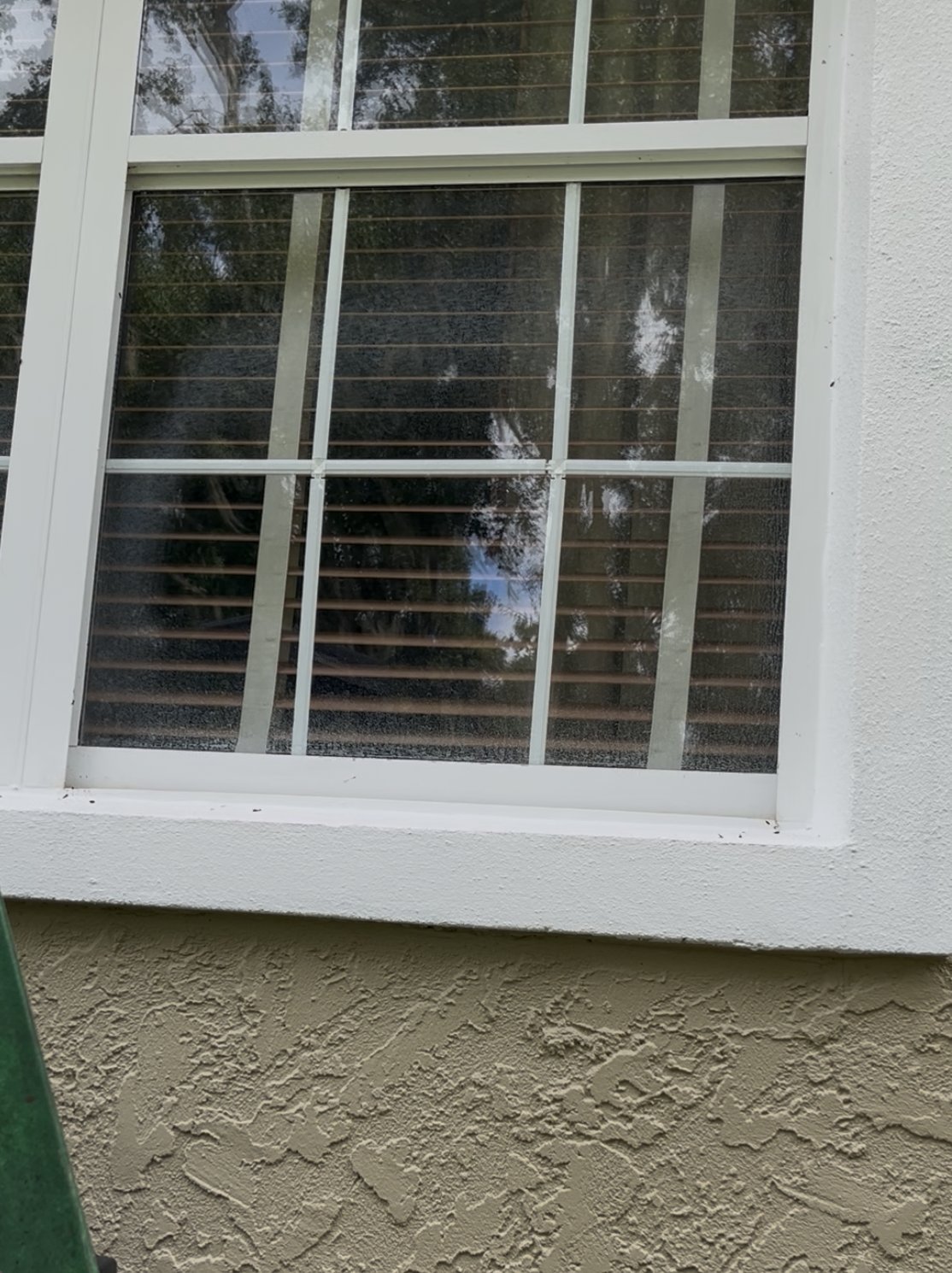 Multi-pane window before cleaning — pollen film on tan stucco